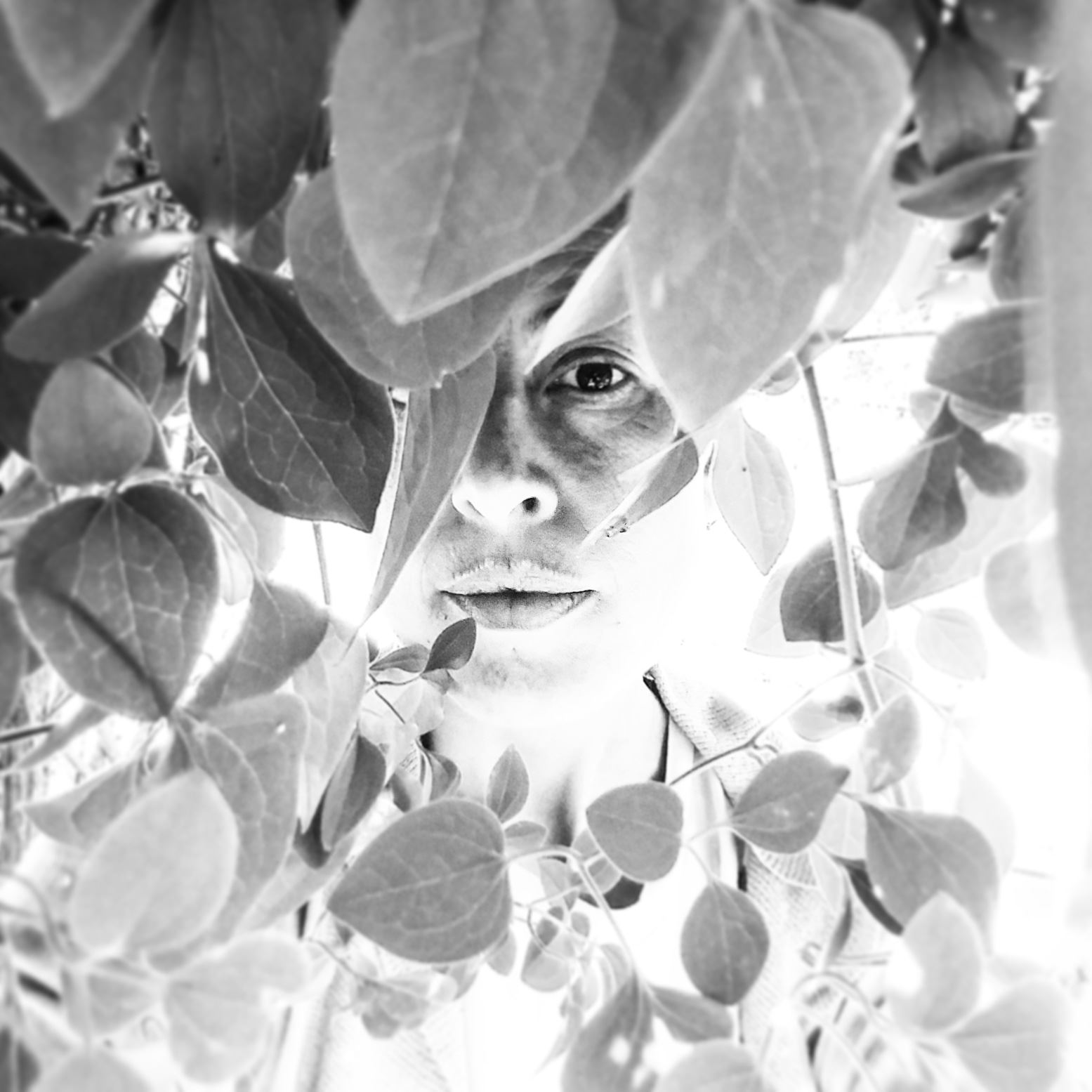 Sound, Vision and Silence